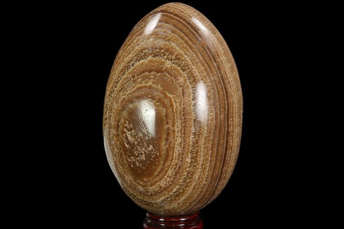 Polished, Banded Aragonite Egg - Morocco #98934